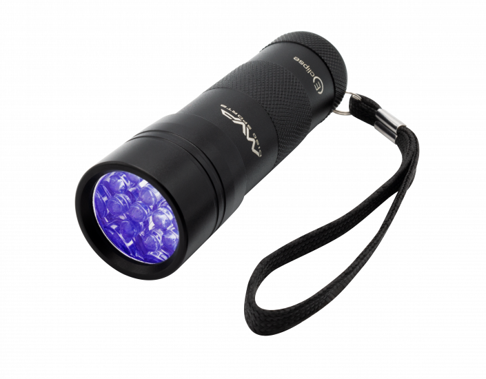 Compact UV Flashlight