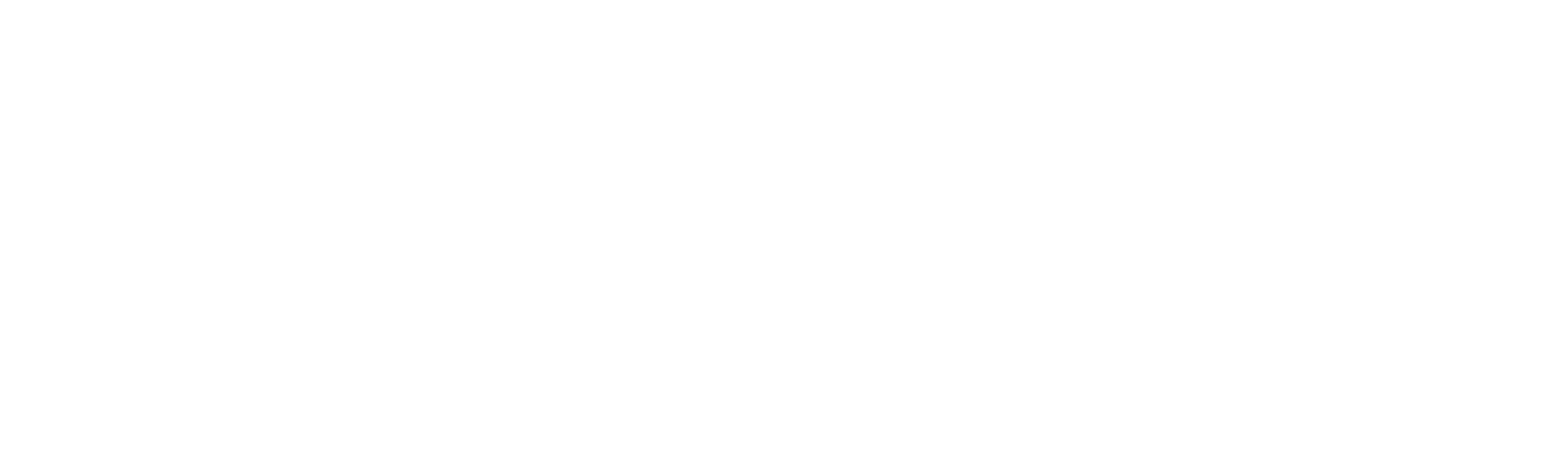 Black Swamp Discs
