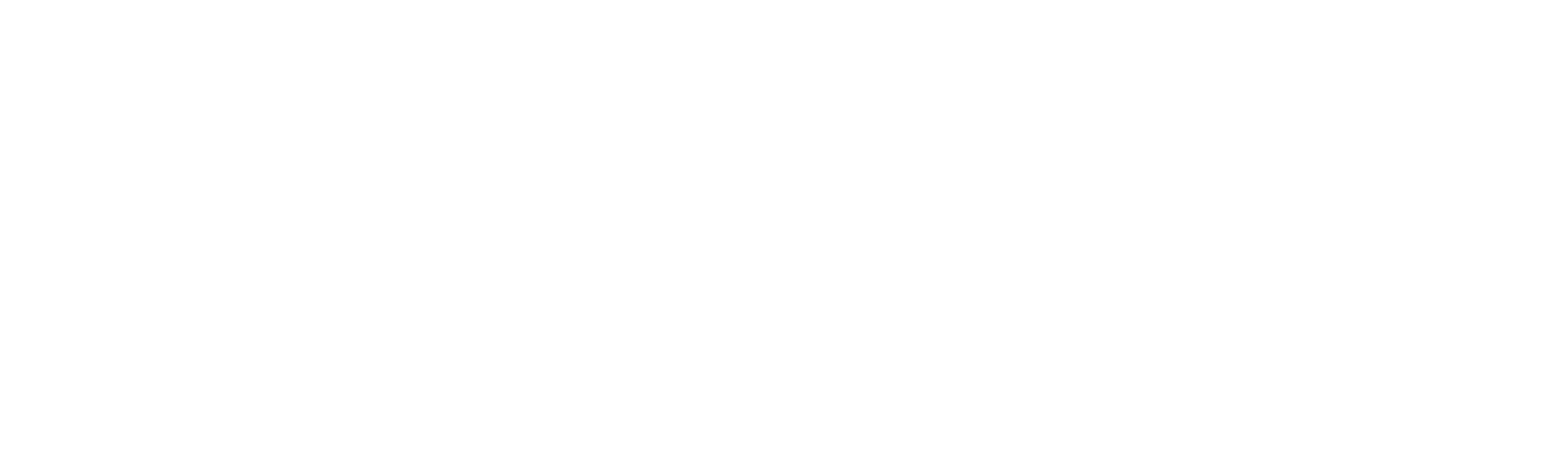Black Swamp Discs