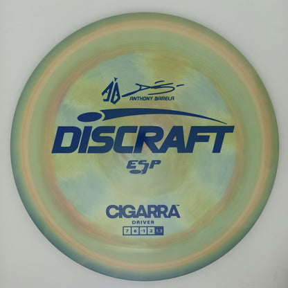 Cigarra